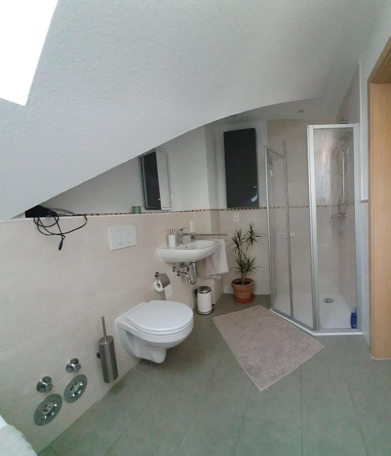 בופארד Grosse Wohnung Mit Rheinblick מראה חיצוני תמונה