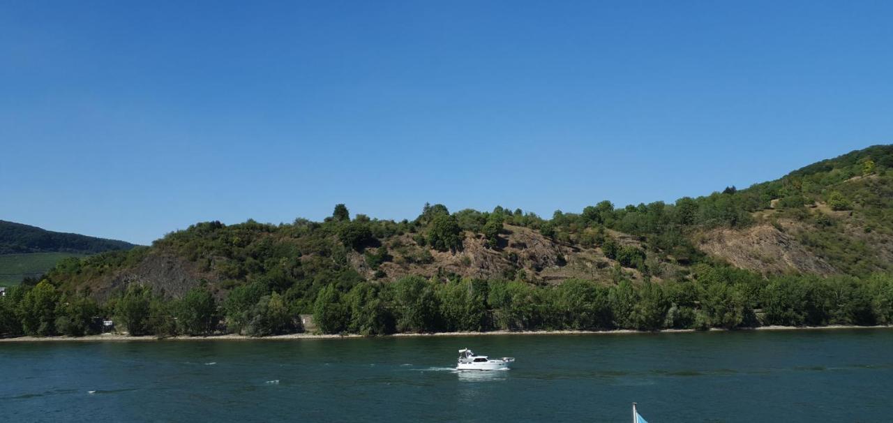 בופארד Grosse Wohnung Mit Rheinblick מראה חיצוני תמונה